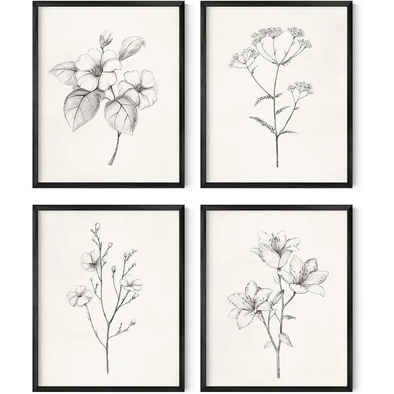 Li's Product Image